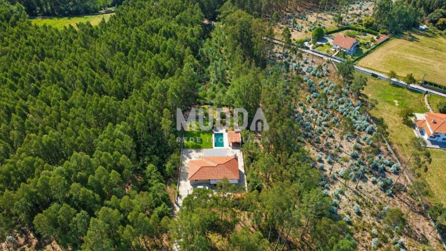 Moradia T3 para Venda em Macieira de Cambra Foto 41