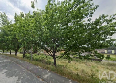 Terreno para Venda em Santa Cruz/Trindade e Sanjurge