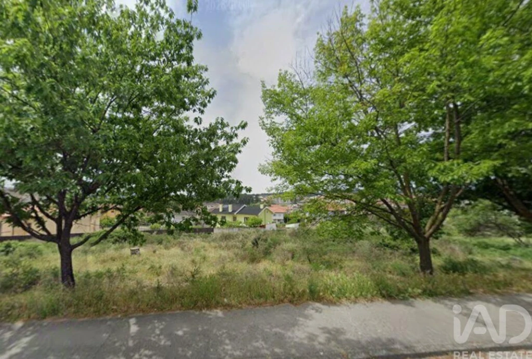 Terreno para Venda em Santa Cruz/Trindade e Sanjurge Foto 1