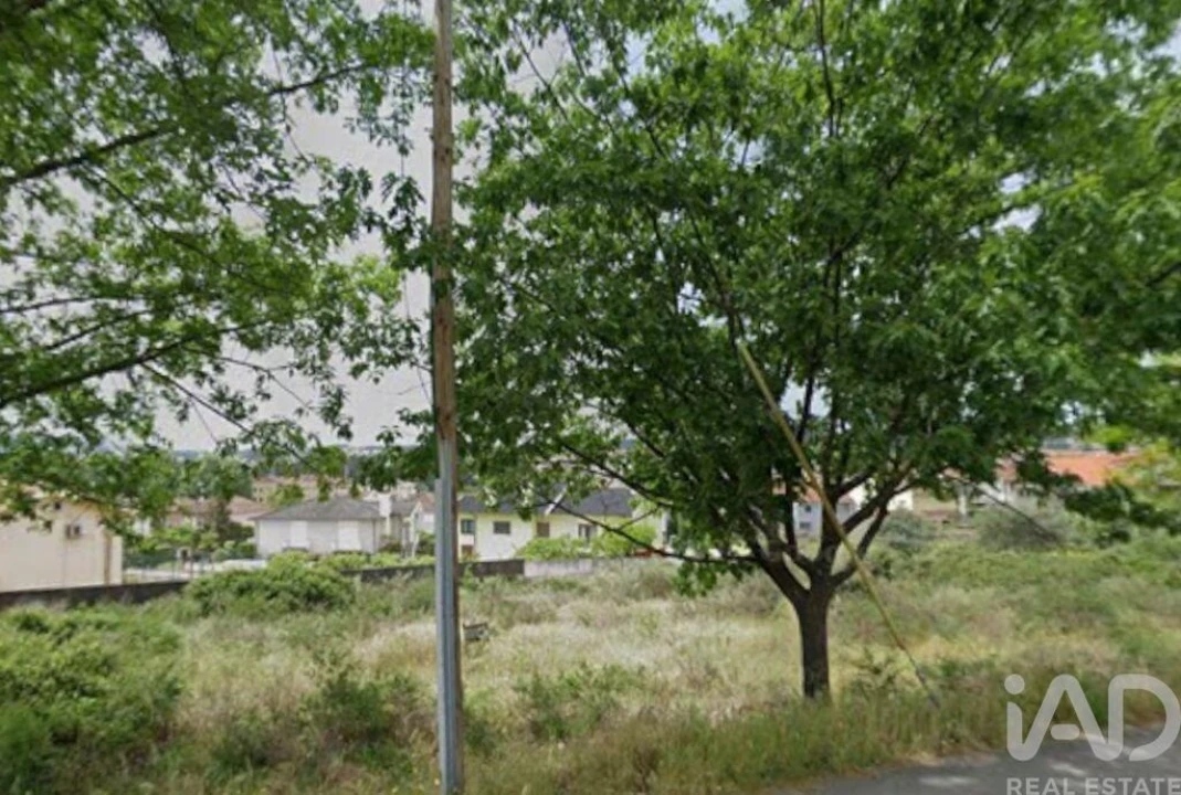 Terreno para Venda em Santa Cruz/Trindade e Sanjurge Foto 4