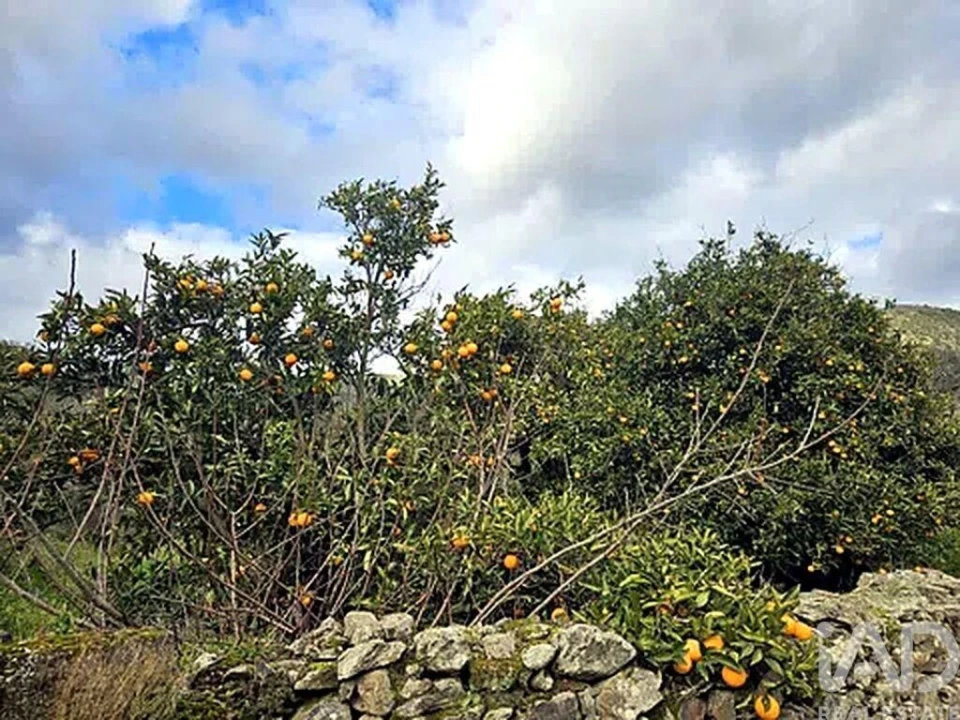 Moradia para Venda em Ligares Foto 26
