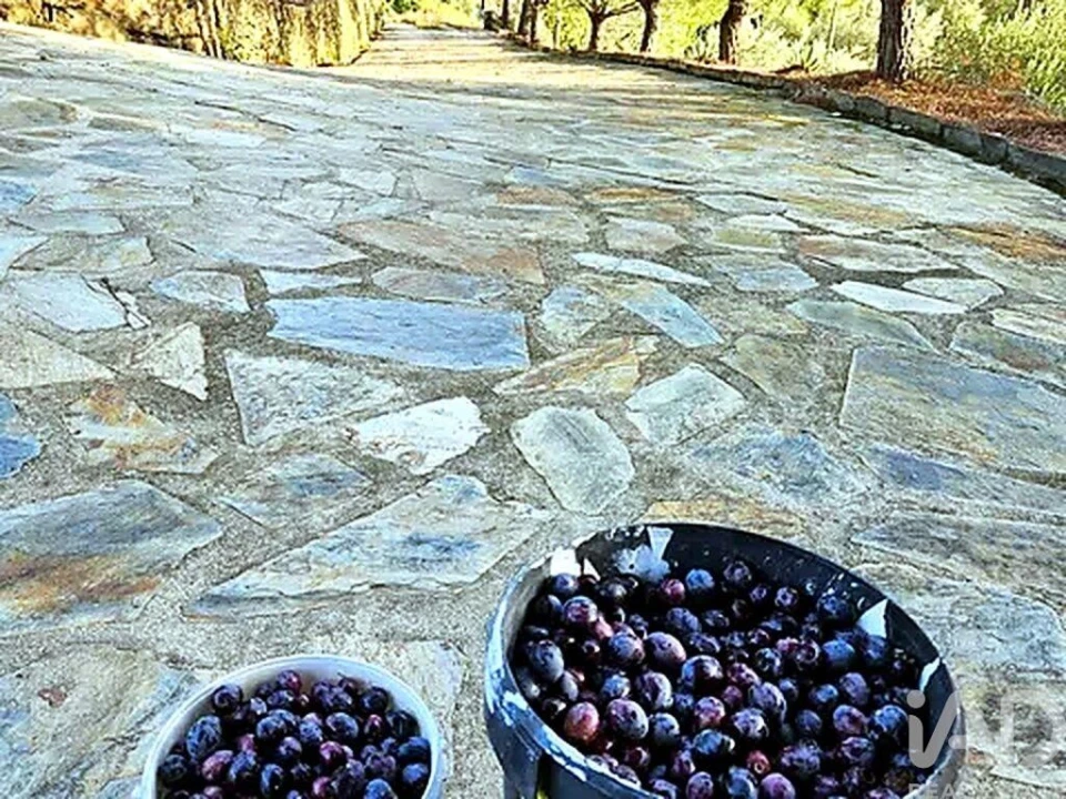 Moradia para Venda em Ligares Foto 8
