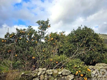 Moradia para Venda em Ligares