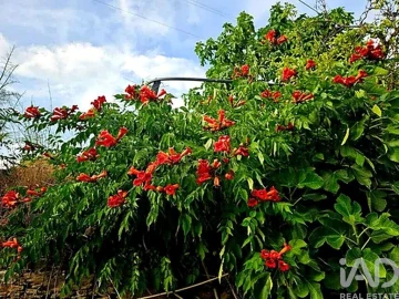 Moradia para Venda em Ligares