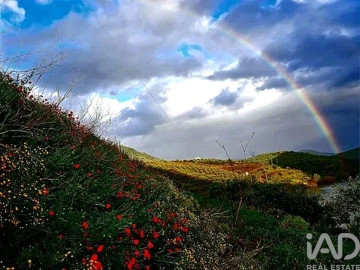 Moradia para Venda em Ligares