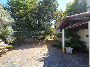 Quinta para Venda em São Salvador da Aramenha