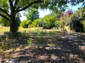 Quinta para Venda em São Salvador da Aramenha