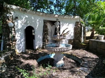 Quinta para Venda em São Salvador da Aramenha
