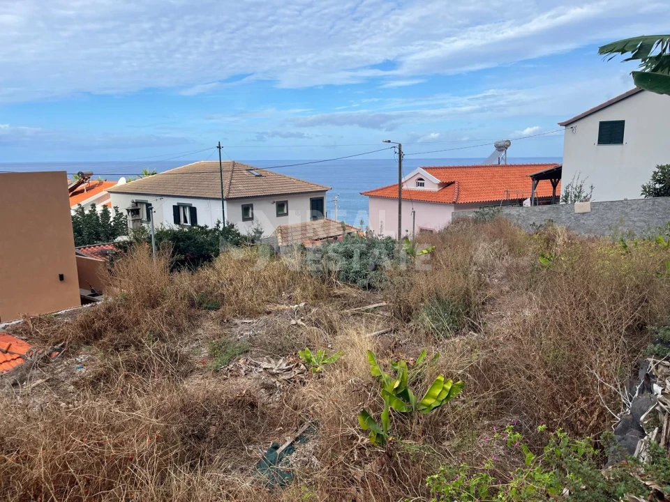 Terreno para Venda em Jardim do Mar Foto 14