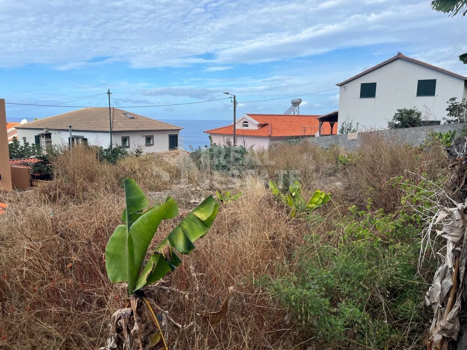 Terreno para Venda em Jardim do Mar Foto 13