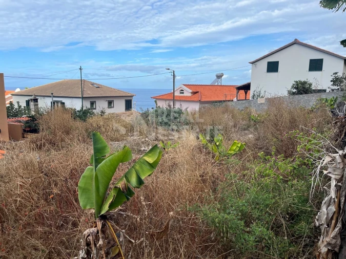 Terreno para Venda em Jardim do Mar Foto 13