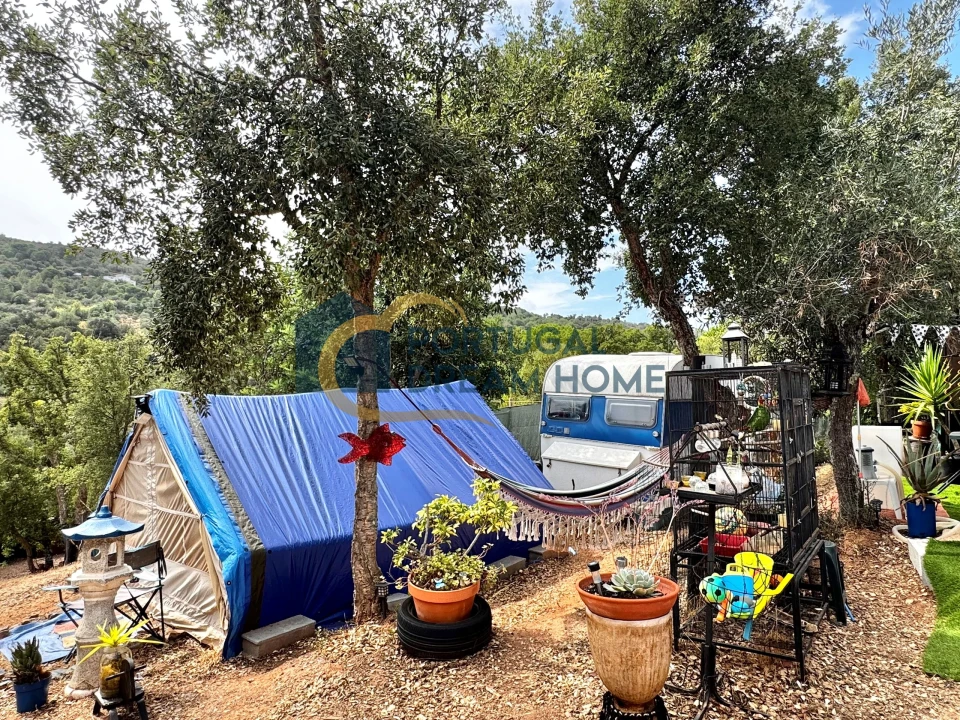 Terreno Agricola ou Rústico para Venda em Almancil Foto 30
