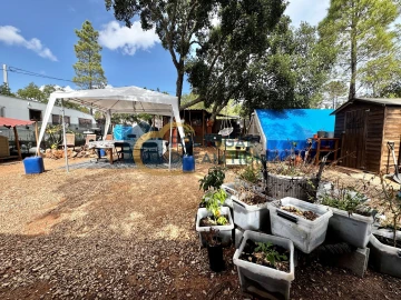 Terreno Agricola ou Rústico para Venda em Almancil