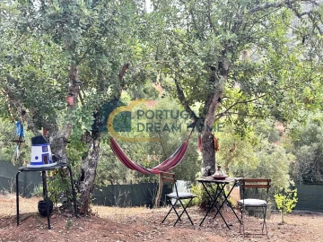Terreno Agricola ou Rústico para Venda em Almancil