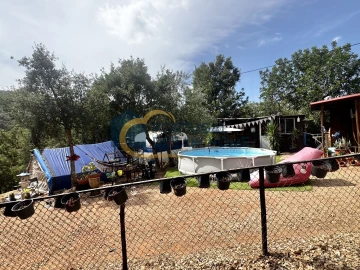 Terreno Agricola ou Rústico para Venda em Almancil