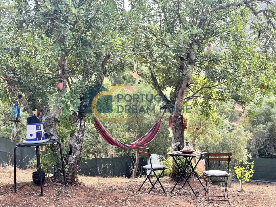 Terreno Agricola ou Rústico para Venda em Almancil Foto 27