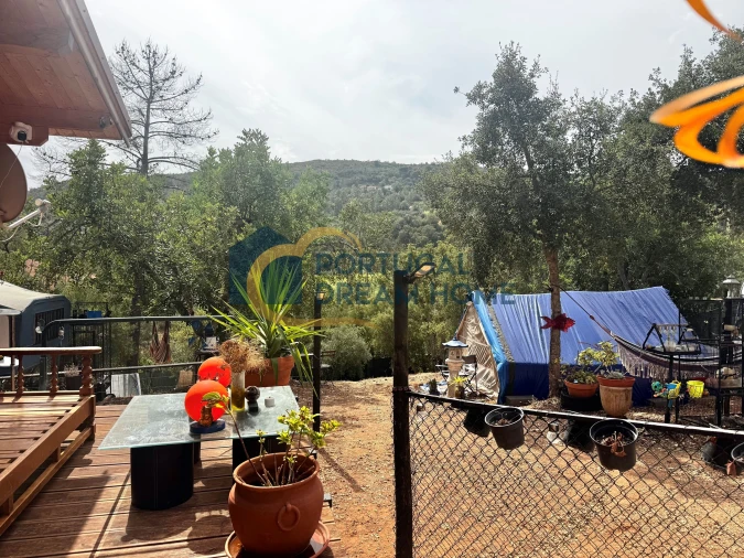 Terreno Agricola ou Rústico para Venda em Almancil Foto 12