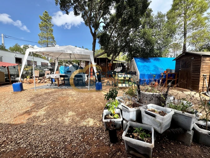 Terreno Agricola ou Rústico para Venda em Almancil Foto 24