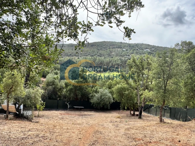 Terreno Agricola ou Rústico para Venda em Almancil Foto 29