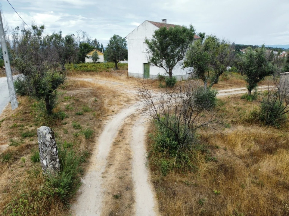Quinta para Venda em Santa Ovaia e Vila Pouca da Beira Foto 4