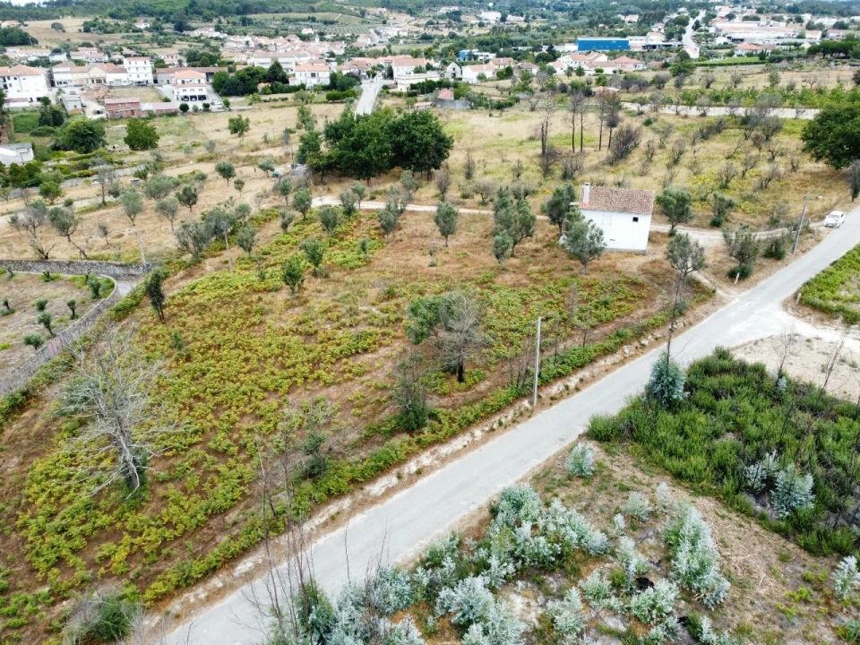 Quinta para Venda em Santa Ovaia e Vila Pouca da Beira Foto 7