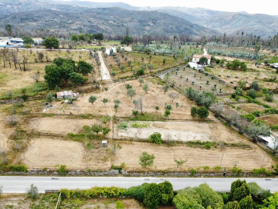 Quinta para Venda em Santa Ovaia e Vila Pouca da Beira Foto 8