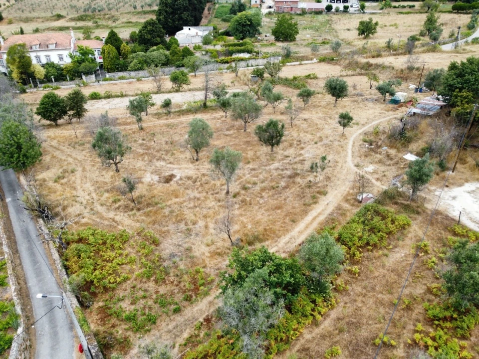 Quinta para Venda em Santa Ovaia e Vila Pouca da Beira Foto 9