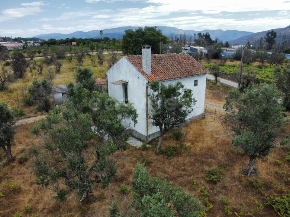 Quinta para Venda em Santa Ovaia e Vila Pouca da Beira Foto 12
