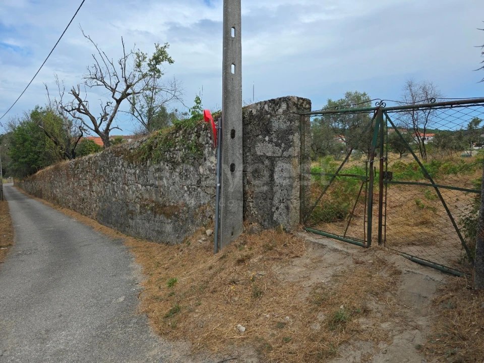 Quinta para Venda em Santa Ovaia e Vila Pouca da Beira Foto 16