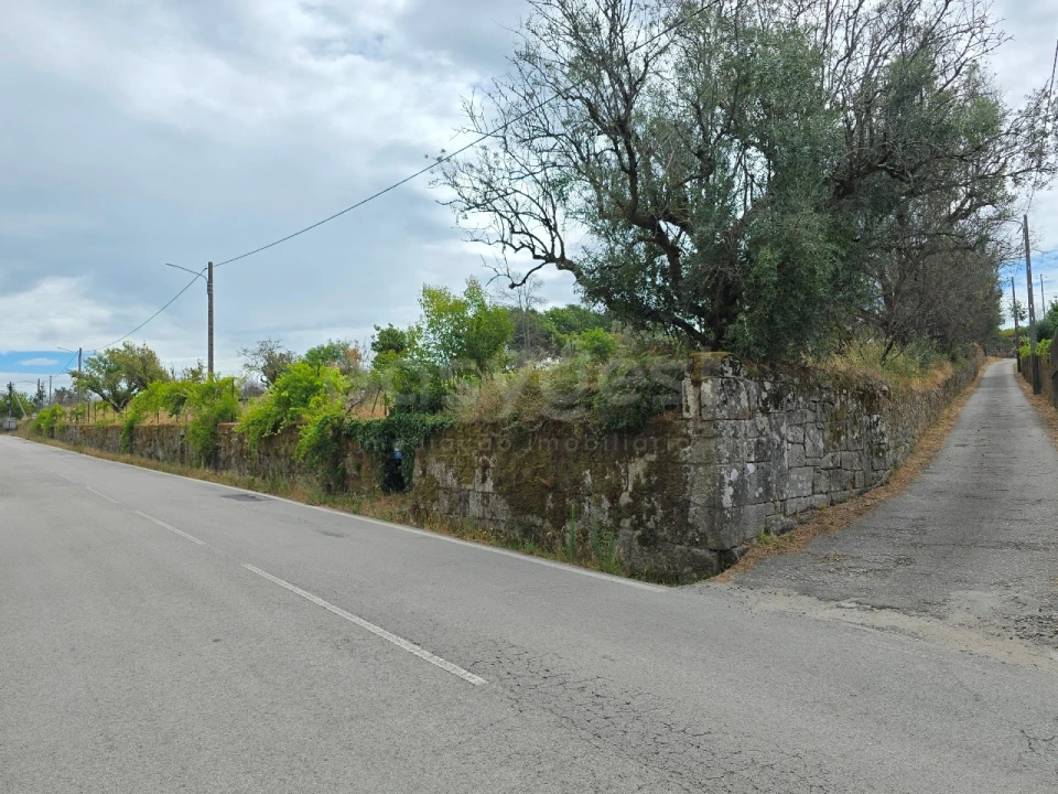 Quinta para Venda em Santa Ovaia e Vila Pouca da Beira Foto 17