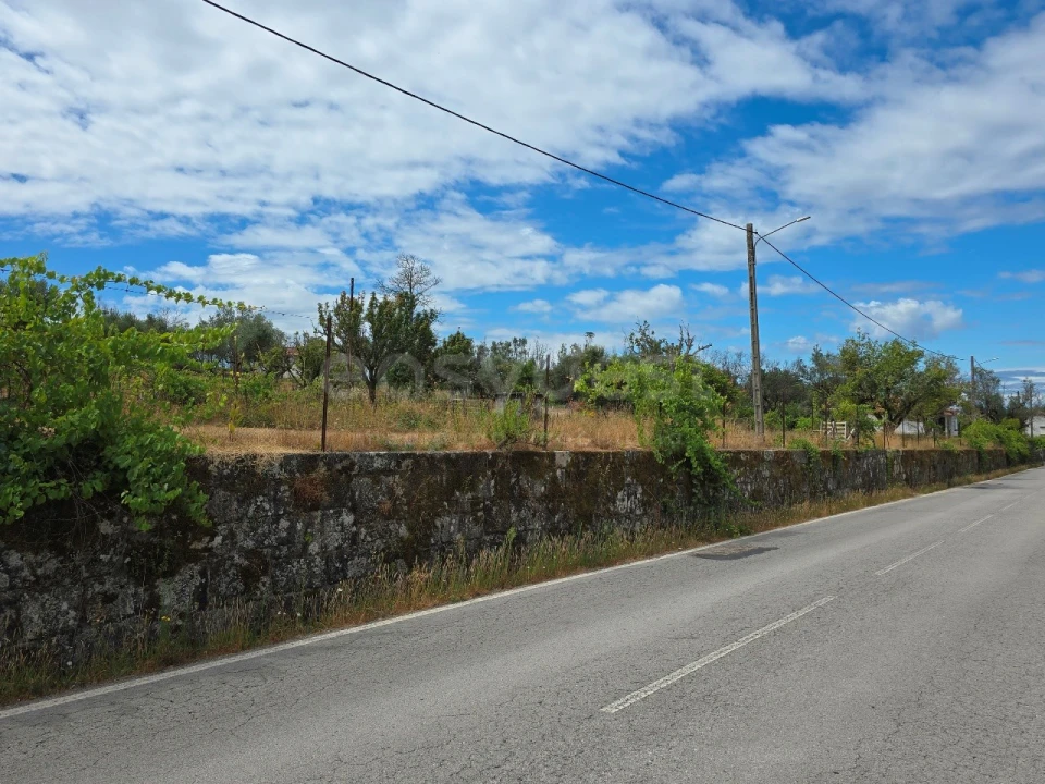 Quinta para Venda em Santa Ovaia e Vila Pouca da Beira Foto 19
