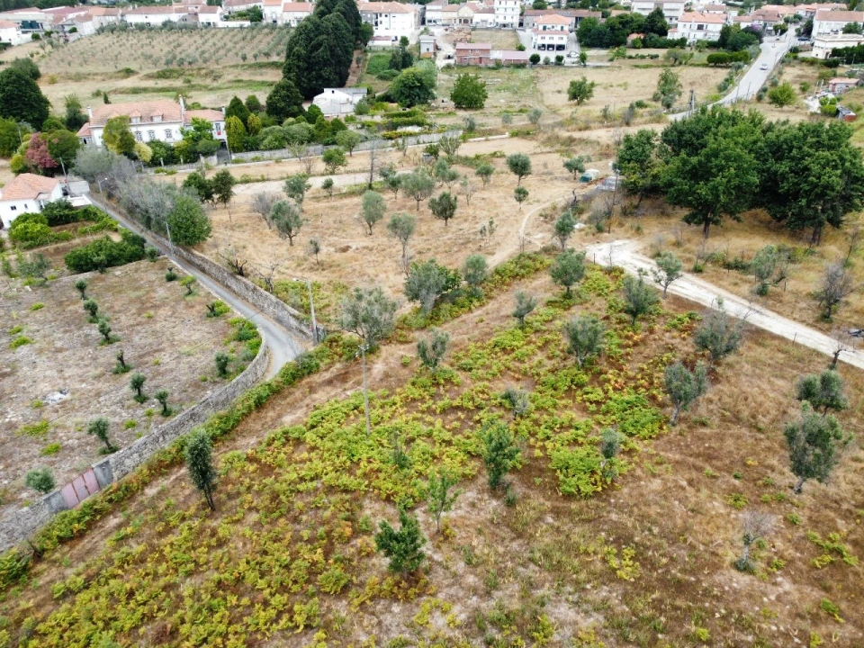 Quinta para Venda em Santa Ovaia e Vila Pouca da Beira Foto 22
