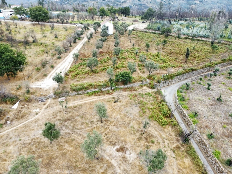 Quinta para Venda em Santa Ovaia e Vila Pouca da Beira Foto 25