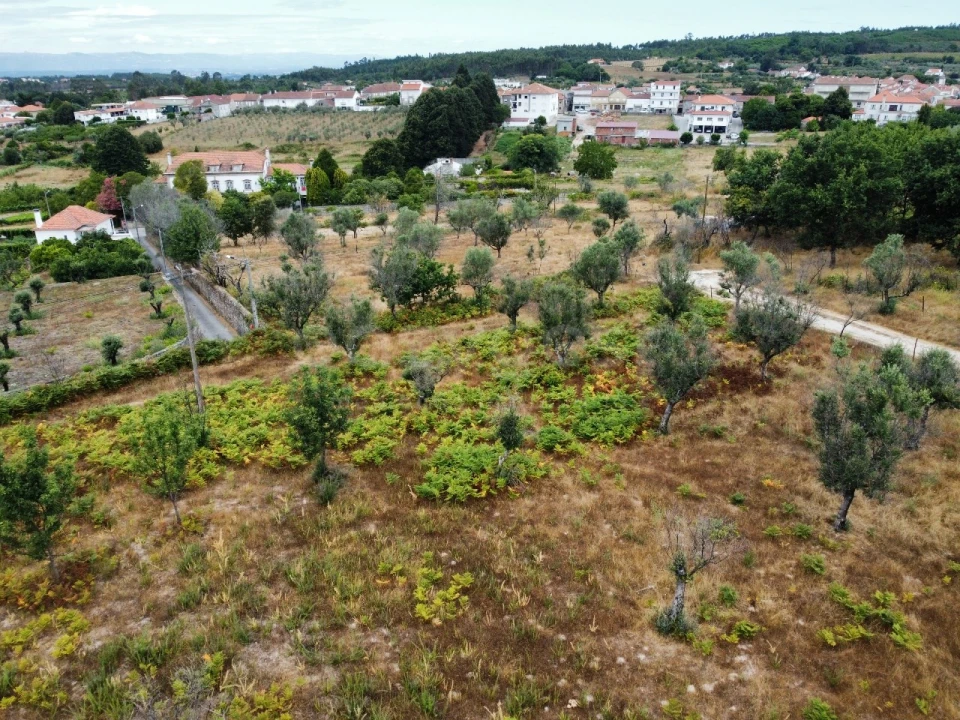 Quinta para Venda em Santa Ovaia e Vila Pouca da Beira Foto 30