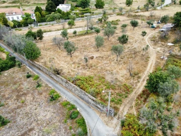Quinta para Venda em Santa Ovaia e Vila Pouca da Beira