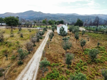 Quinta para Venda em Santa Ovaia e Vila Pouca da Beira