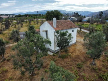 Quinta para Venda em Santa Ovaia e Vila Pouca da Beira