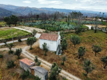 Quinta para Venda em Santa Ovaia e Vila Pouca da Beira