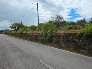 Quinta para Venda em Santa Ovaia e Vila Pouca da Beira
