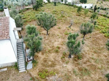 Quinta para Venda em Santa Ovaia e Vila Pouca da Beira