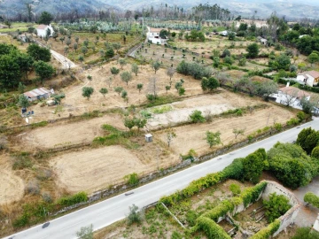 Quinta para Venda em Santa Ovaia e Vila Pouca da Beira