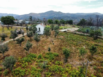 Quinta para Venda em Santa Ovaia e Vila Pouca da Beira