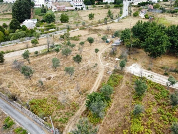 Quinta para Venda em Santa Ovaia e Vila Pouca da Beira