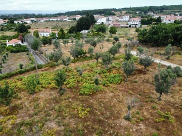 Quinta para Venda em Santa Ovaia e Vila Pouca da Beira