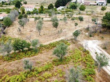 Quinta para Venda em Santa Ovaia e Vila Pouca da Beira