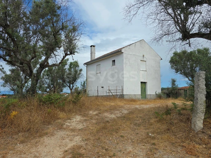 Quinta para Venda em Santa Ovaia e Vila Pouca da Beira Foto 5