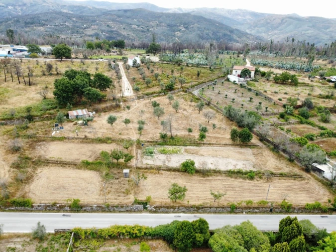 Quinta para Venda em Santa Ovaia e Vila Pouca da Beira Foto 8