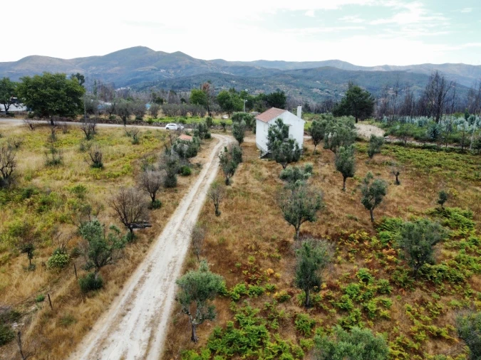 Quinta para Venda em Santa Ovaia e Vila Pouca da Beira Foto 10