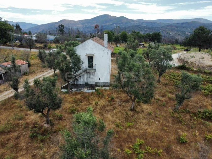 Quinta para Venda em Santa Ovaia e Vila Pouca da Beira Foto 11