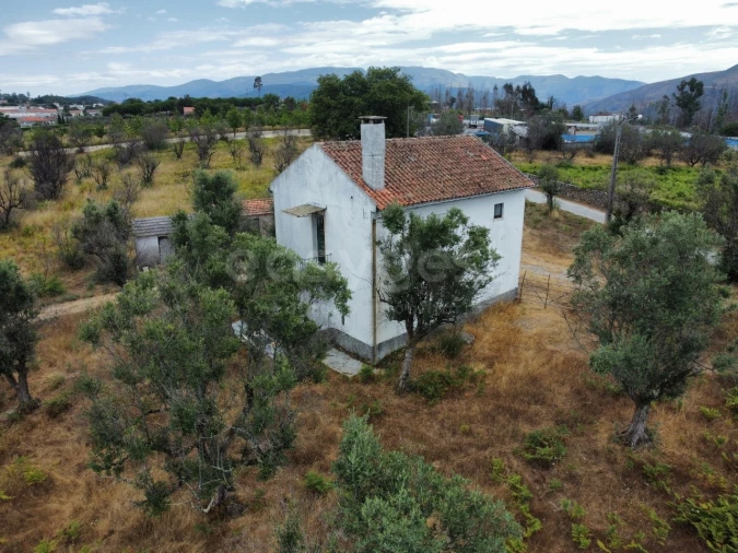 Quinta para Venda em Santa Ovaia e Vila Pouca da Beira Foto 12
